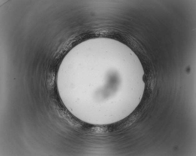 X0000116140660200912141134