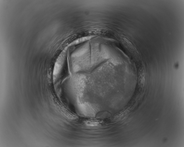 X0000116140661200912141134