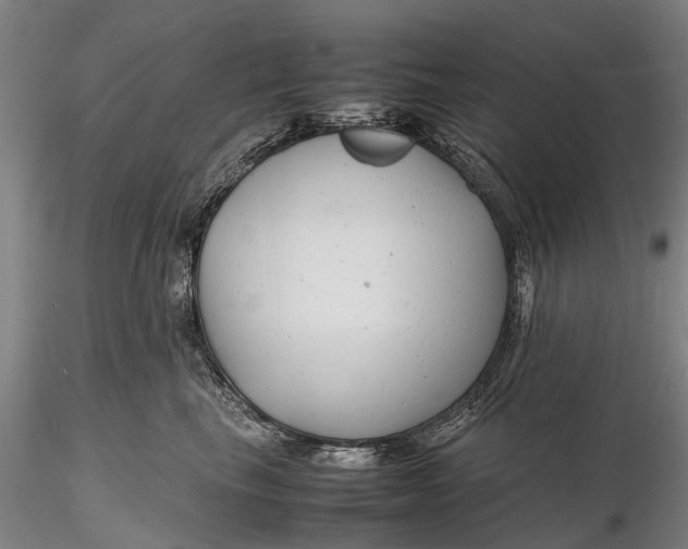 X0000116140665200912141134