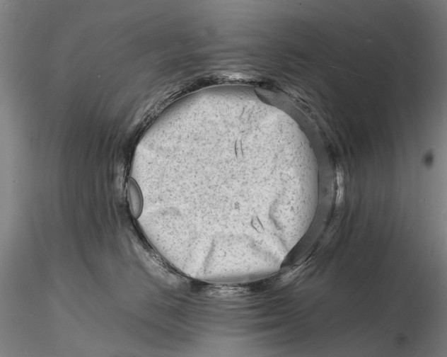 X0000116140670200912141134