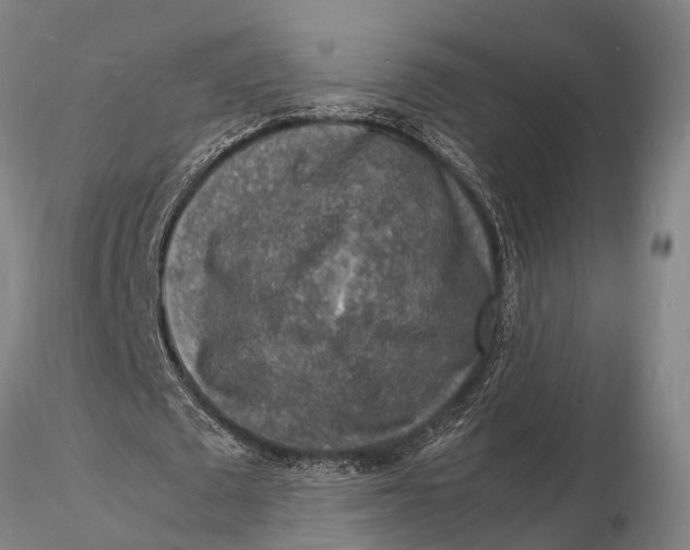 X0000116140673200912141133