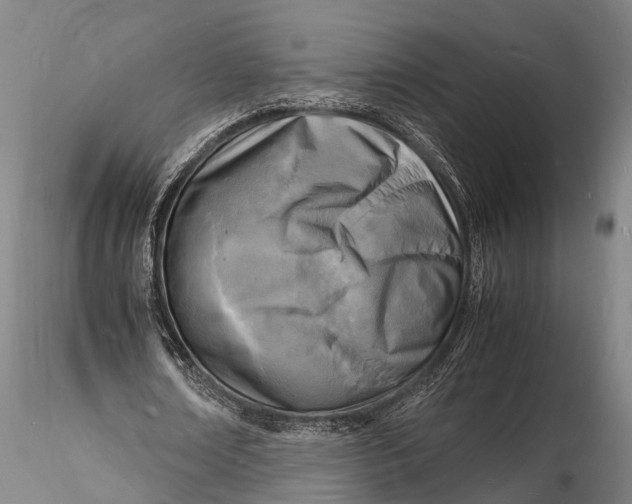 X0000116140674200912141133