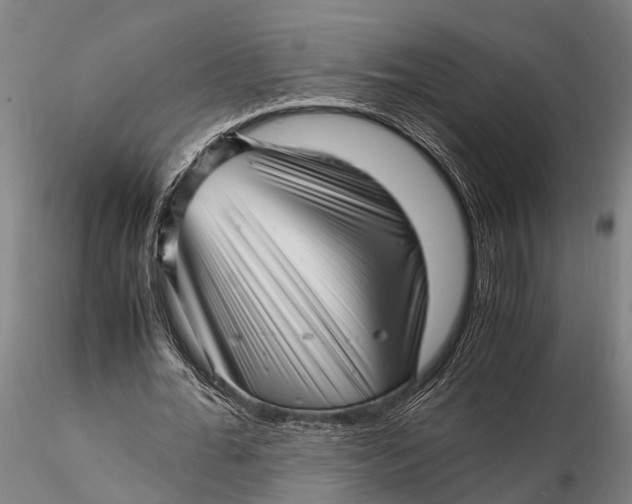 X0000116140676200912141133