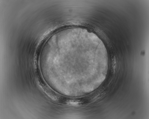 X0000116140680200912141133