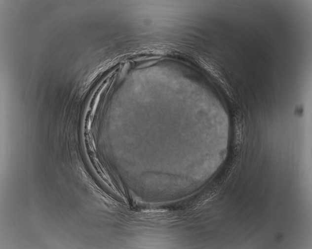 X0000116140681200912141133