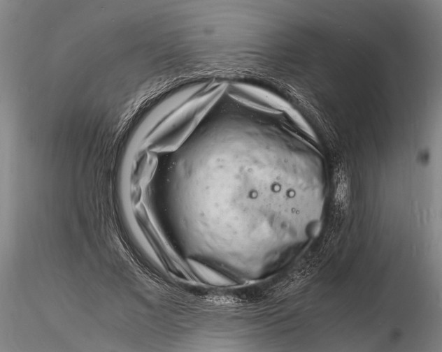 X0000116140685200912141133