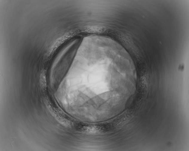 X0000116140688200912141133