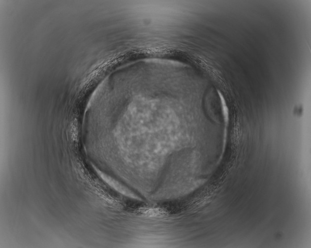 X0000116140689200912141133