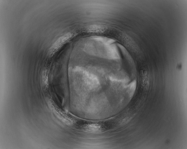 X0000116140692200912141133