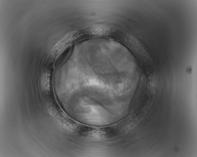 X0000116140696200912141133