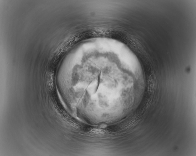 X0000116140699200912141133