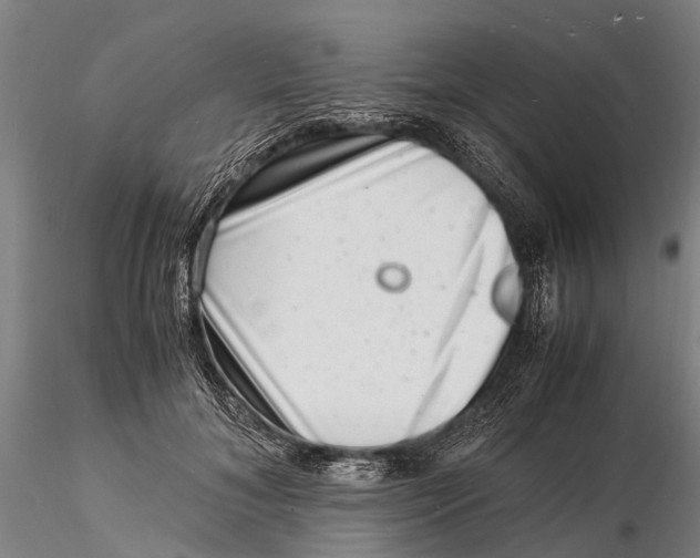 X0000116140700200912141133