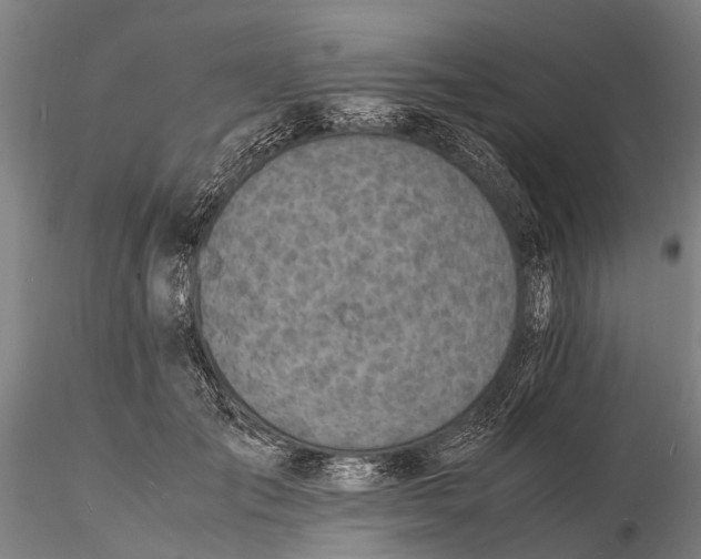 X0000116140701200912141133