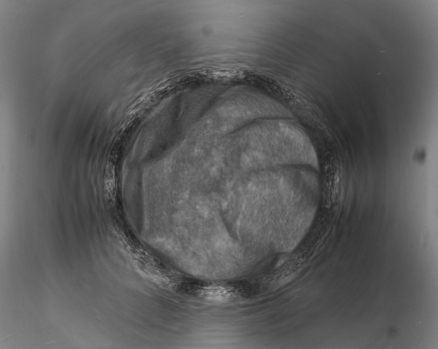 X0000116140704200912141133