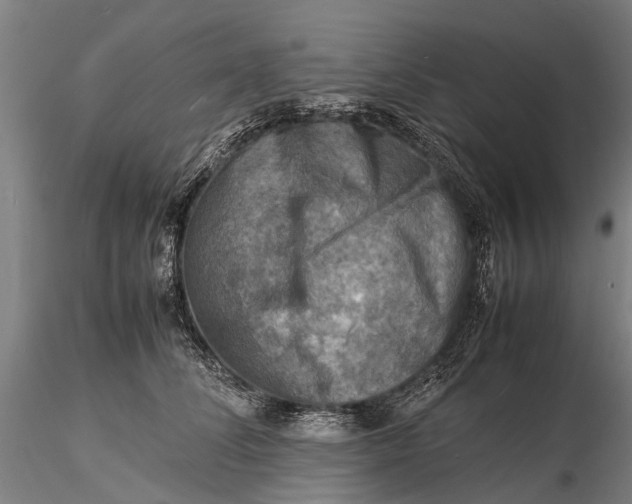 X0000116140708200912141133