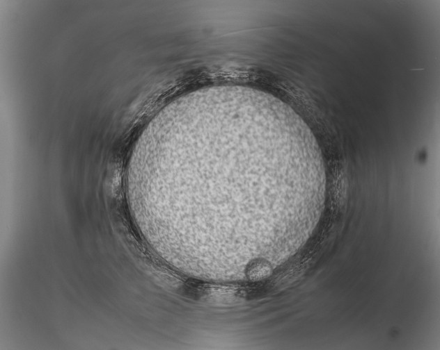 X0000116140709200912141133