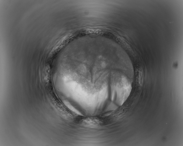 X0000116140712200912141133