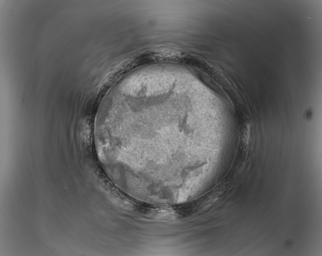 X0000116140715200912141133