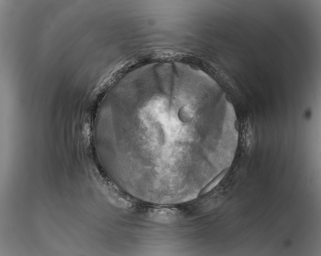 X0000116140716200912141132