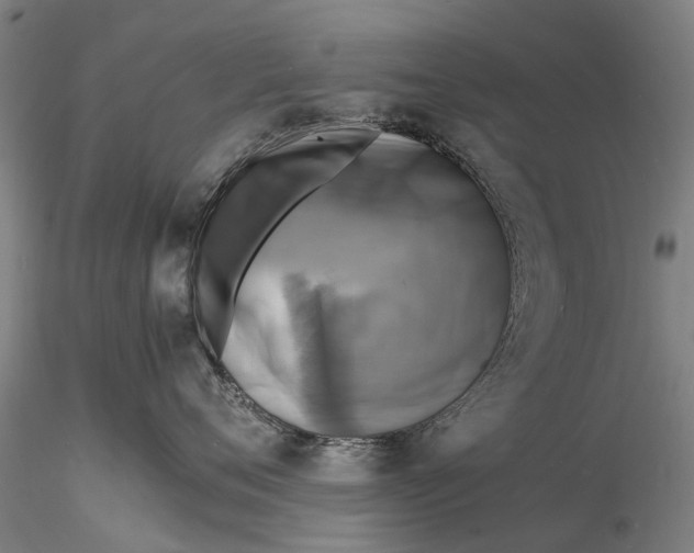 X0000116140720200912141132