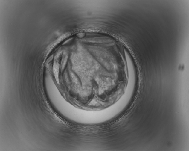 X0000116140721200912141132