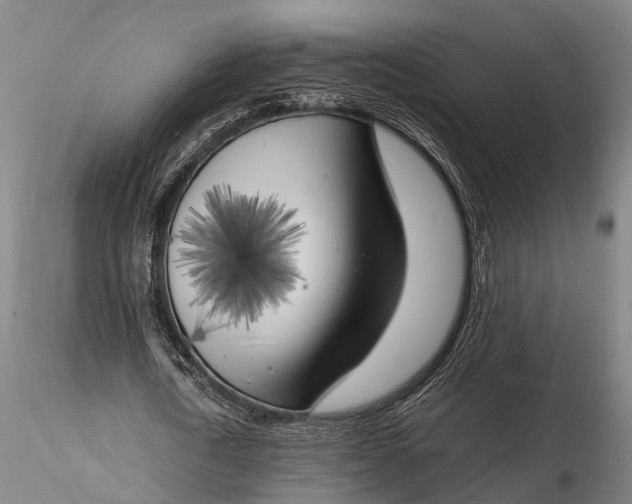 X0000116140722200912141132