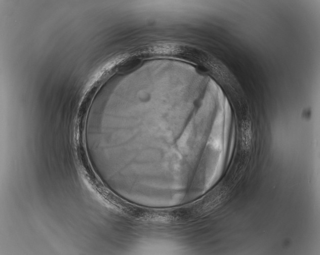 X0000116140726200912141132