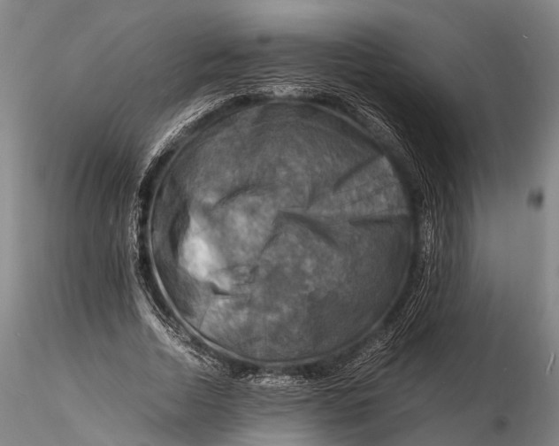 X0000116140730200912141132