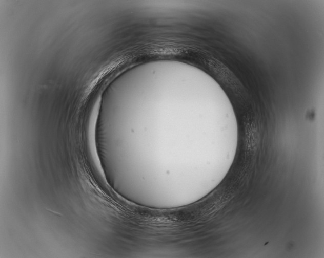 X0000116140731200912141132