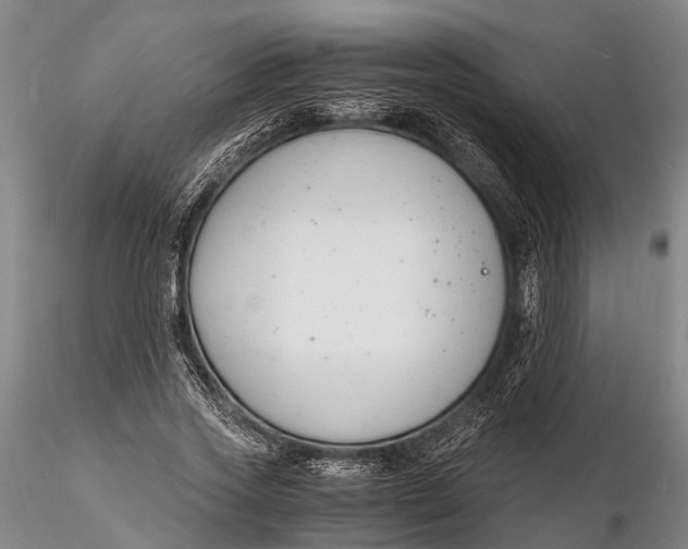 X0000116140733200912141132