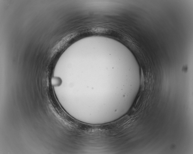 X0000116140734200912141132