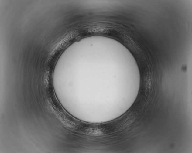 X0000116140735200912141132