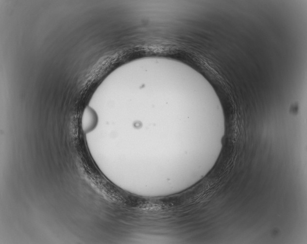 X0000116140738200912141132