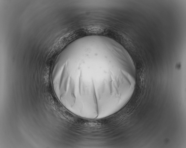 X0000116140745200912141132