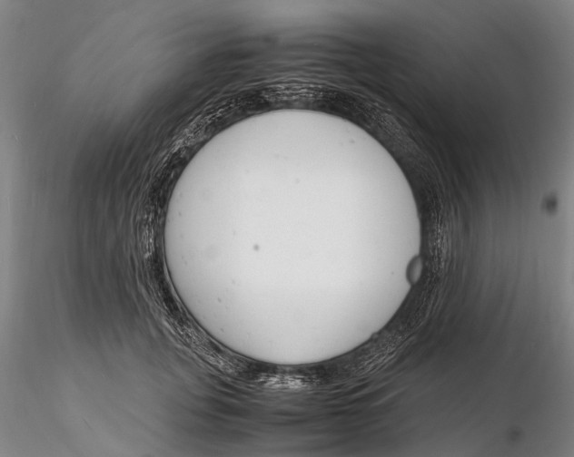 X0000116140751200912141132