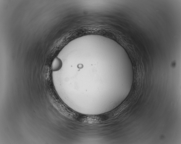 X0000116140758200912141132