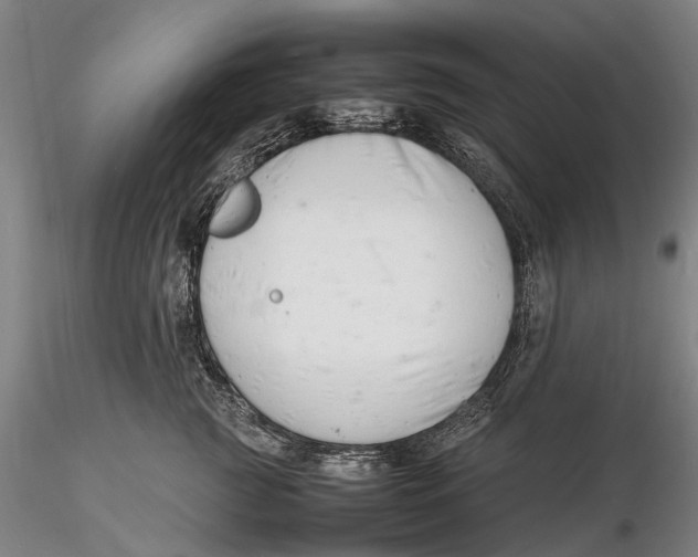 X0000116140761200912141132