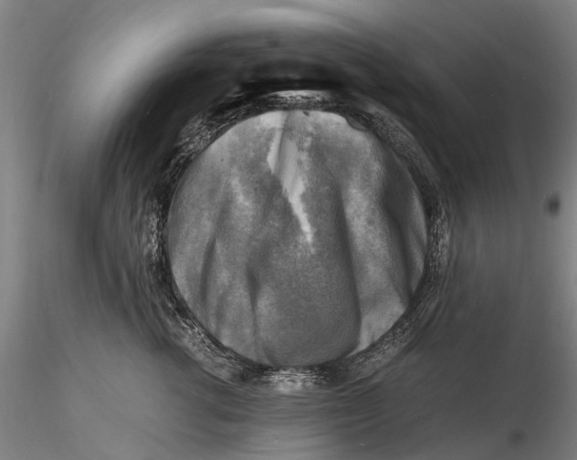 X0000116140762200912141132