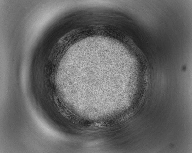 X0000116140765200912141132