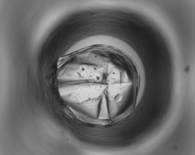 X0000116140766200912141132