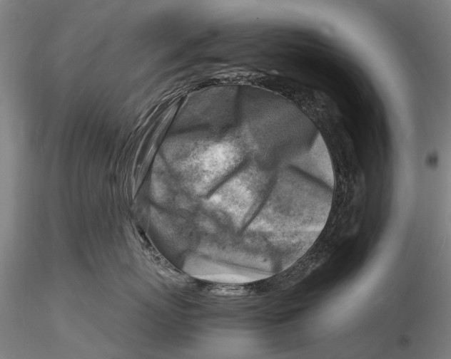 X0000116140767200912141132