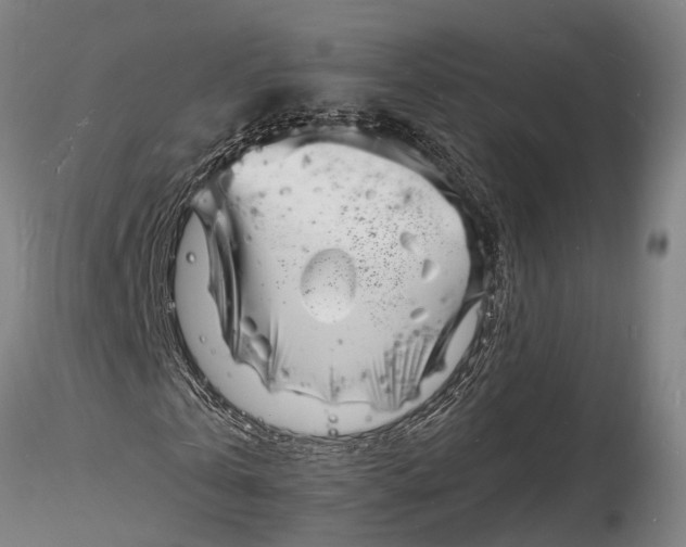 X0000116140769200912141132