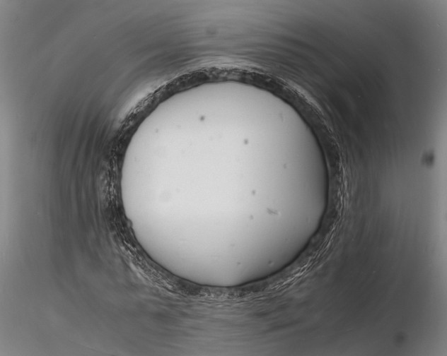 X0000116140775200912141132