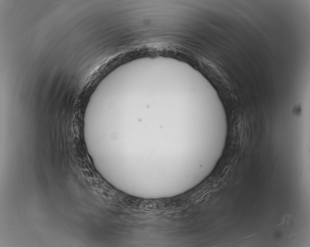 X0000116140776200912141131