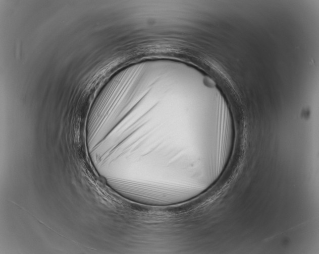 X0000116140777200912141131