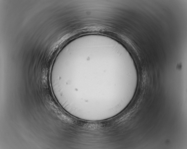 X0000116140778200912141131