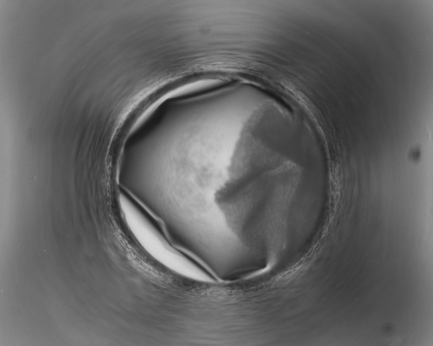 X0000116140779200912141131