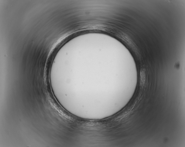 X0000116140780200912141131