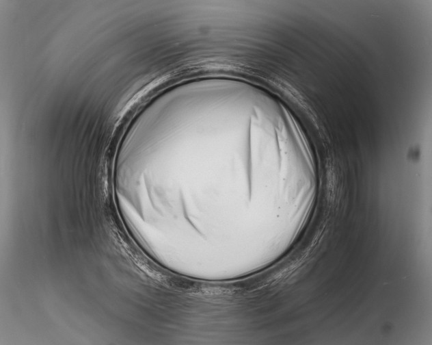 X0000116140782200912141131