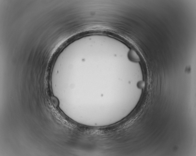 X0000116140783200912141131